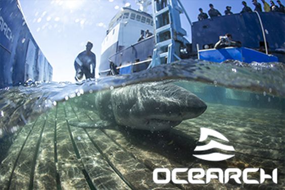 ocearch-2